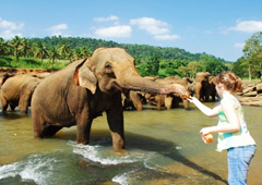 Где лучше отдыхать на Шри-Ланке?