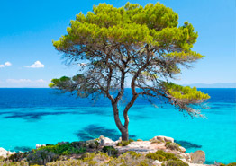 Греция-2019: какие отели 4* выбрать на полуострове Халкидики?